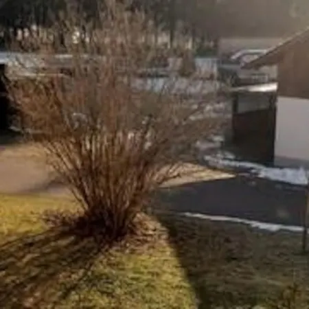 Zur Dicken Berta Apartment